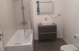 Doua unitati locative, Duplex pe parter, 198mp utili, 640mp teren in Sag