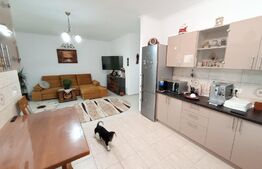 Duplex 3 camere, cochet, 65mp utili, in Sanandrei