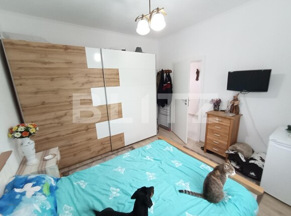 Casa de vânzare 3 camere Sânandrei - 134105CV | BLITZ Timișoara | Poza10