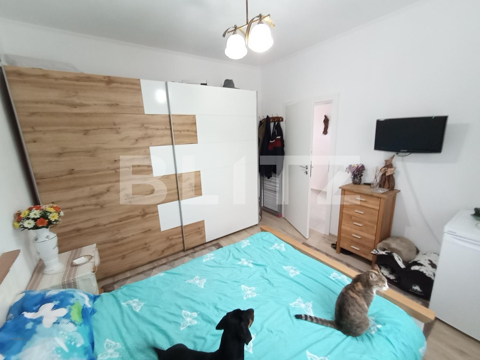 Casa de vânzare 3 camere Sânandrei - 134105CV | BLITZ Timișoara | Poza10