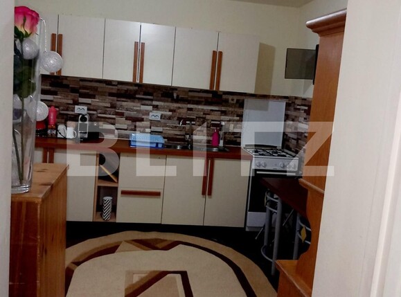 Casa de vânzare 7 camere Exterior Nord - 134133CV | BLITZ Timișoara | Poza11