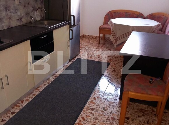 Casa de vânzare 7 camere Exterior Nord - 134133CV | BLITZ Timișoara | Poza12