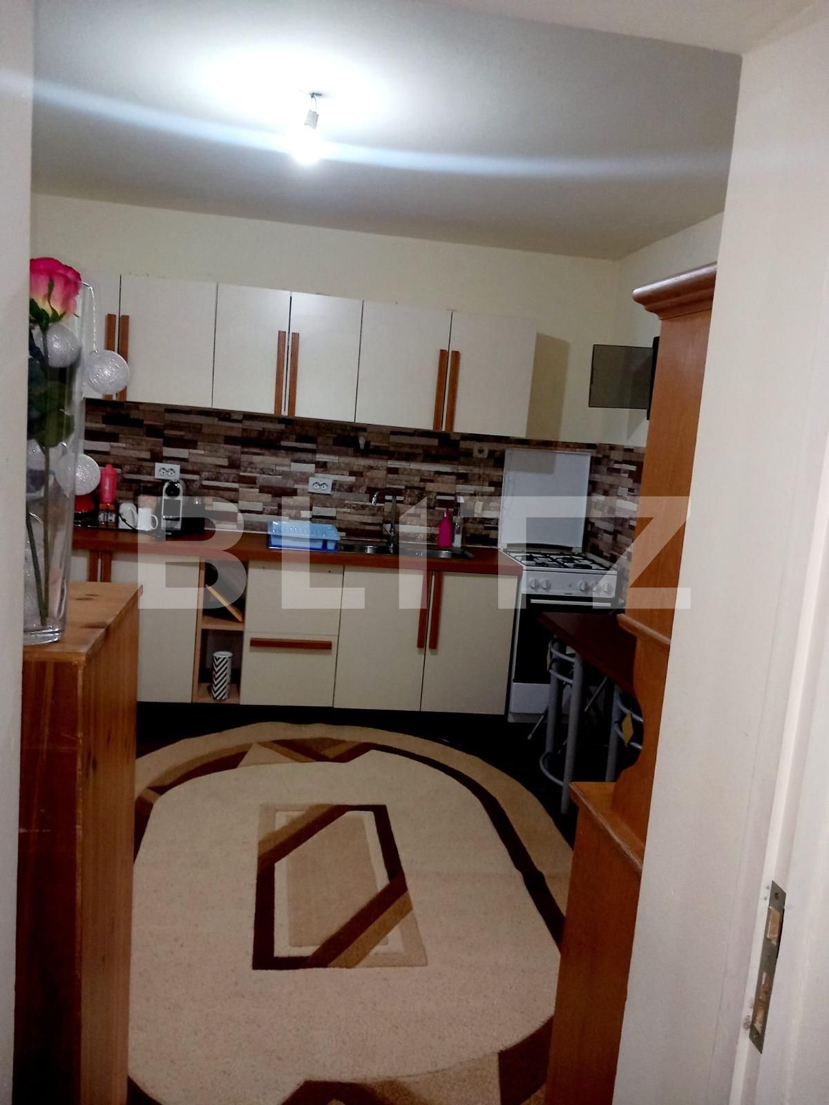 Casa de vânzare 7 camere Exterior Nord - 134133CV | BLITZ Timișoara | Poza11