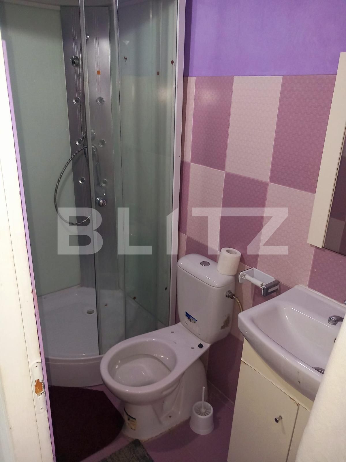 Casa de vânzare 7 camere Exterior Nord - 134133CV | BLITZ Timișoara | Poza15