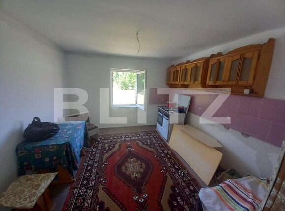 Casa de vânzare 4 camere Exterior Nord - 134136CV | BLITZ Timișoara | Poza11