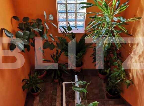 Casa de vânzare 6 camere Semicentral - 134141CV | BLITZ Timișoara | Poza10