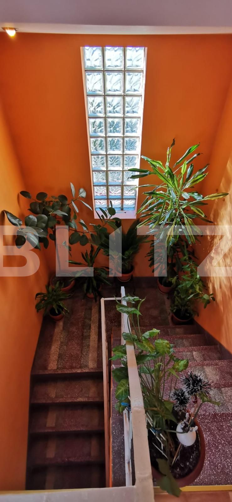 Casa de vânzare 6 camere Semicentral - 134141CV | BLITZ Timișoara | Poza10