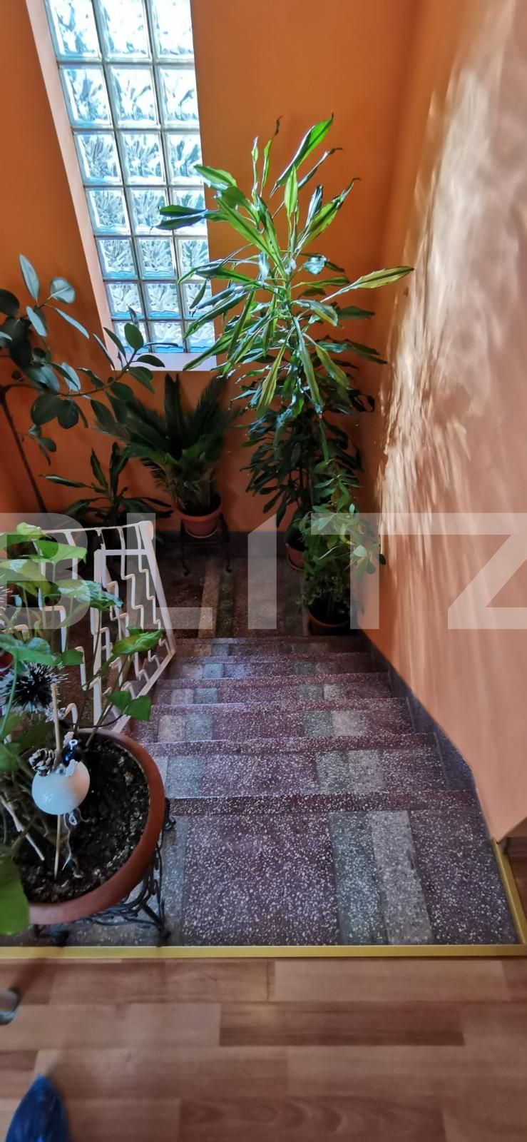 Casa de vânzare 6 camere Semicentral - 134141CV | BLITZ Timișoara | Poza11