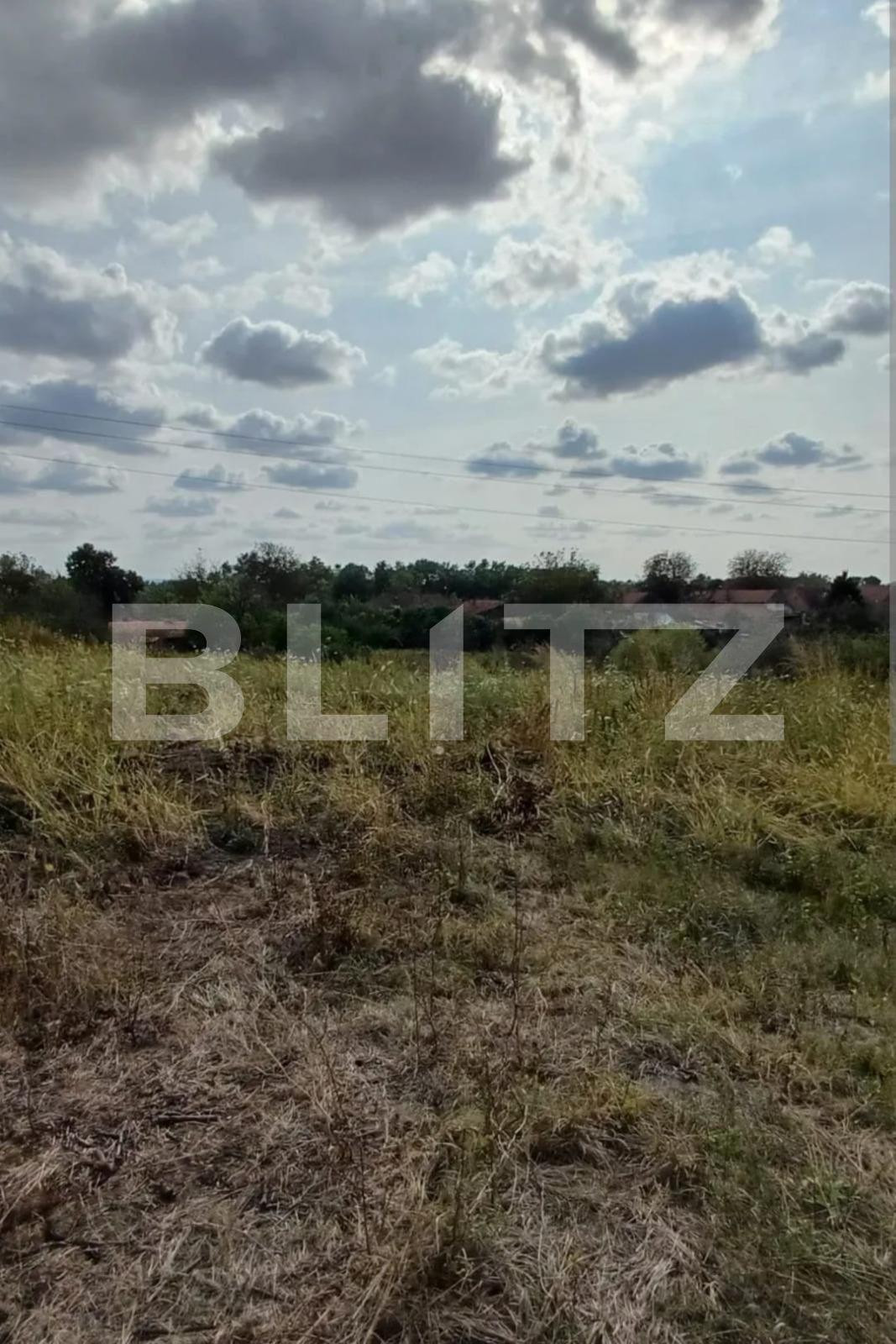 Teren de vânzare Lipovei - 134196TV | BLITZ Timișoara | Poza1