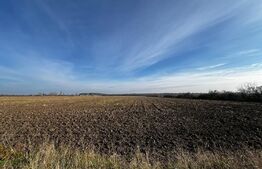 Teren intravilan, 738 mp, f.s. 17 m, Rudicica