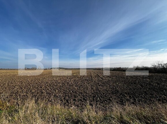 Teren de vânzare Rudicica - 134234TV | BLITZ Timișoara | Poza1