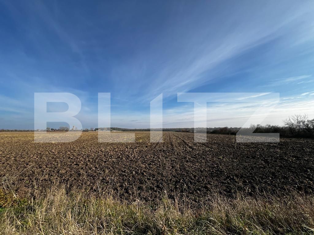 Teren de vânzare Rudicica - 134234TV | BLITZ Timișoara | Poza1