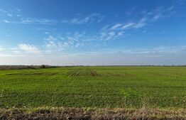 Teren Intravilan, 5100mp, compact, cu PUZ pentru comert si servicii, zona Rudicica