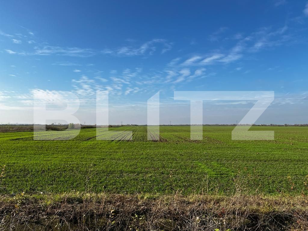 Teren de vânzare Rudicica - 134264TV | BLITZ Timișoara | Poza1