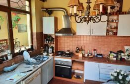 Colt de poveste, 1600 mp, piscina, semineu, centru Giarmata