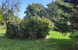 Colt de poveste, 1600 mp, piscina, semineu, centru Giarmata