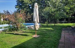 Colt de poveste, 1600 mp, piscina, semineu, centru Giarmata