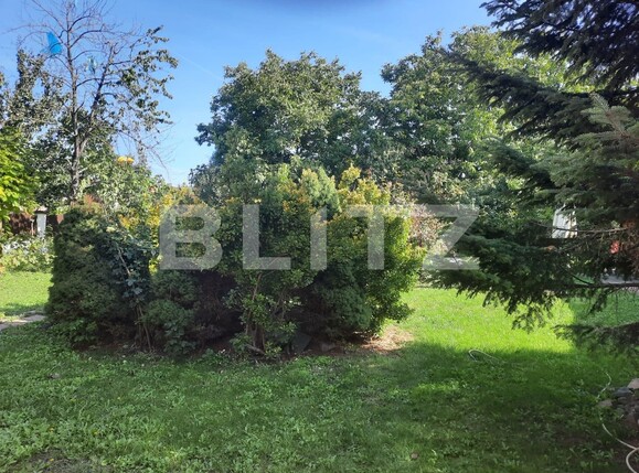 Casa de vânzare 6 camere Giarmata - 134278CV | BLITZ Timișoara | Poza3