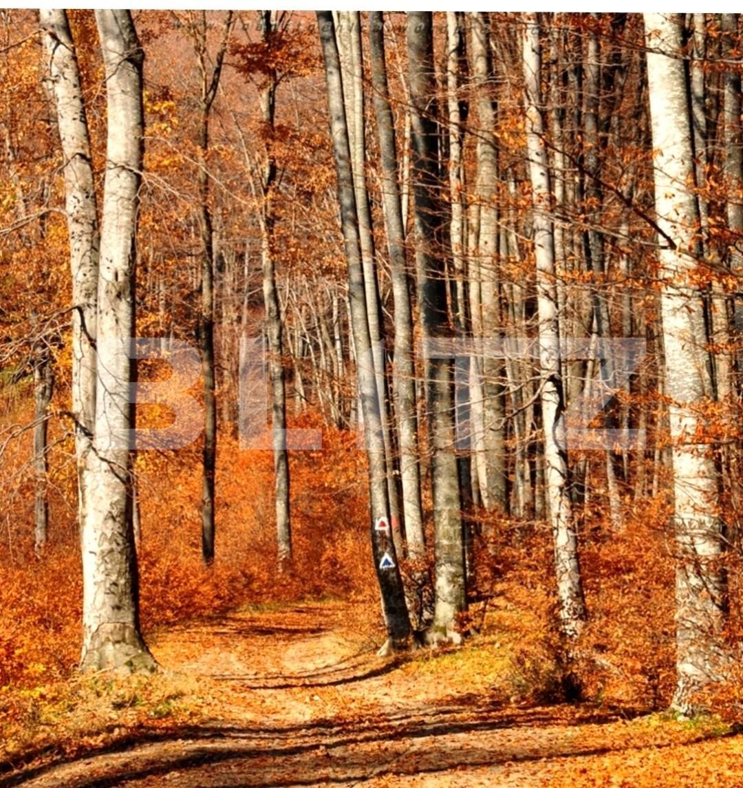 Teren de vânzare Exterior Sud - 134415TV | BLITZ Timișoara | Poza1