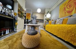 Apartament de vanzare, 2 camere, terasa si curte, zona Lipovei