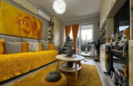 Apartament de vanzare, 2 camere, terasa si curte, zona Lipovei