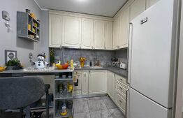 Apartament de vanzare, 2 camere, terasa si curte, zona Lipovei