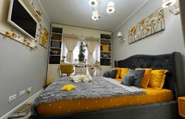 Apartament de vanzare, 2 camere, terasa si curte, zona Lipovei
