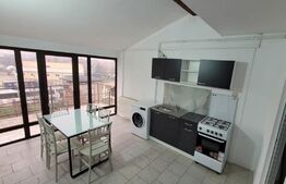 Vila 12 dormitoare, 33-35 persoane, 450mp, Lipovei