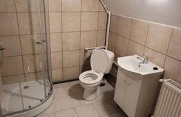 Vila 12 dormitoare, 33-35 persoane, 450mp, Lipovei