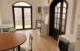 Vila 12 dormitoare, 33-35 persoane, 450mp, Lipovei