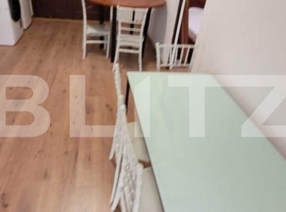 Casa de închiriat 12 camere Lipovei - 134550CI | BLITZ Timișoara | Poza5