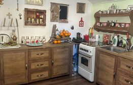 Casa 6 camere, 2 camere SAD la strada principala, potrivit Cabinet Veterinar, etc...