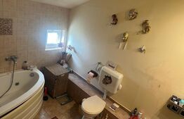 Casa 6 camere, 2 camere SAD la strada principala, potrivit Cabinet Veterinar, etc...