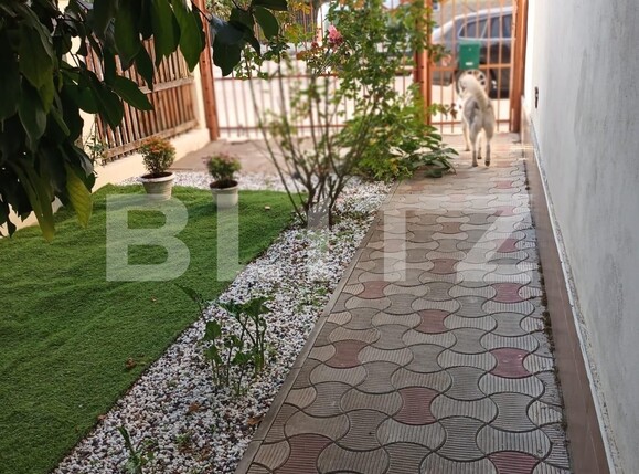 Casa de vânzare 6 camere Lipovei - 134658CV | BLITZ Timișoara | Poza18