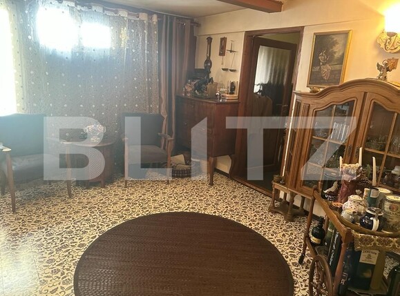 Casa de vânzare 6 camere Lipovei - 134658CV | BLITZ Timișoara | Poza12