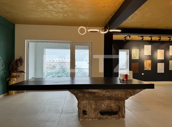 Spațiu birouri de închiriat Dumbravita - 134765SIB | BLITZ Timișoara | Poza3