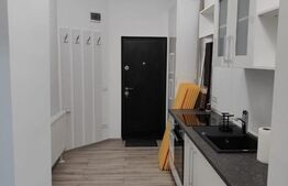 Apartament 1 camera, 38 mp, mobilat/utilat lux, zona Iosefin