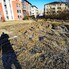 Teren de vânzare Giroc - 134829TV - Poza 1 din 2 | BLITZ Timișoara | Poza2