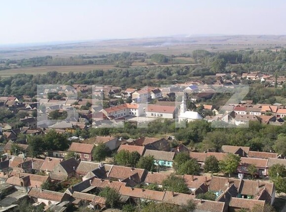 Casa de vânzare 3 camere Exterior Est - 134877CV | BLITZ Timișoara | Poza2