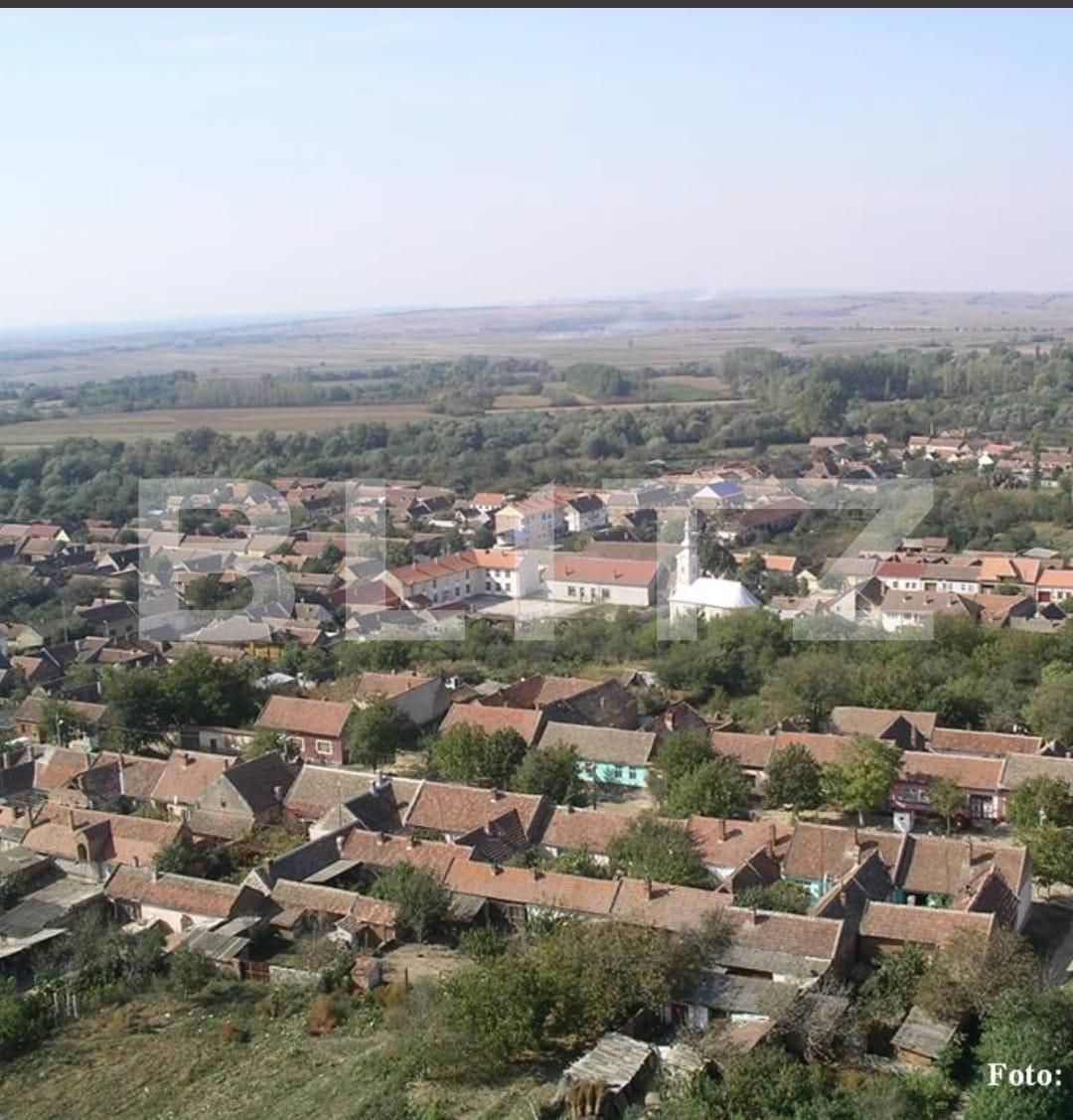 Casa de vânzare 3 camere Exterior Est - 134877CV | BLITZ Timișoara | Poza2