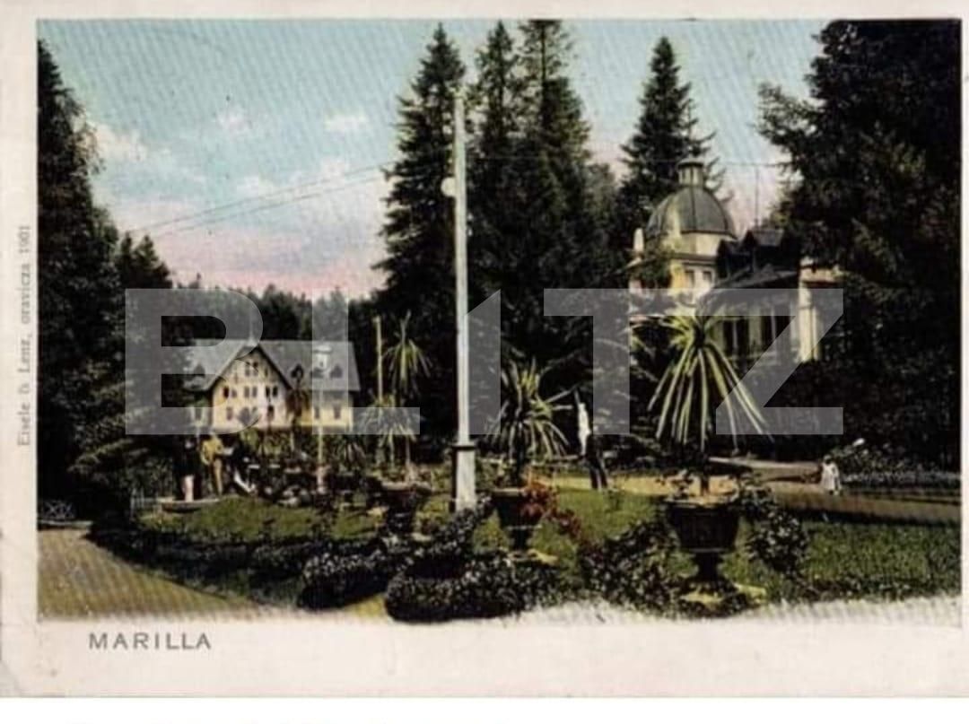 Casa de vânzare 30 camere Exterior Est - 134882CV | BLITZ Timișoara | Poza3