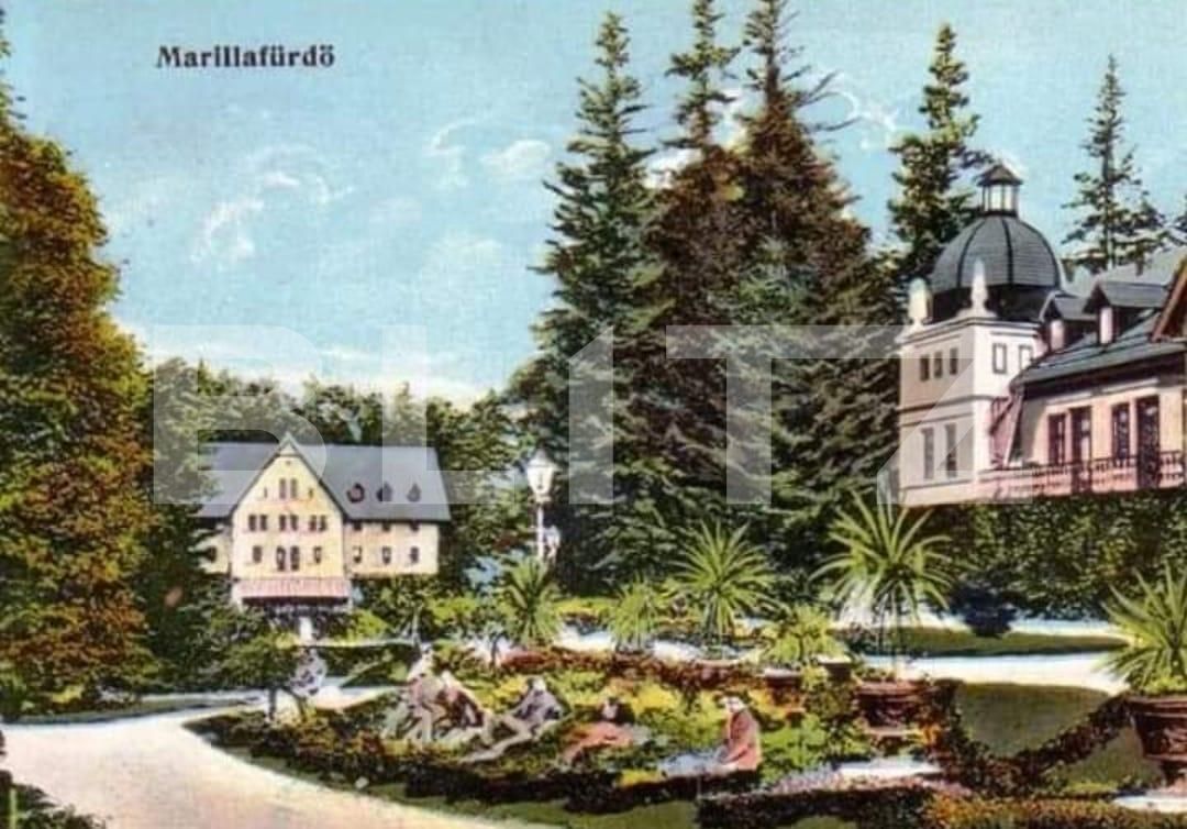 Casa de vânzare 30 camere Exterior Est - 134882CV | BLITZ Timișoara | Poza6