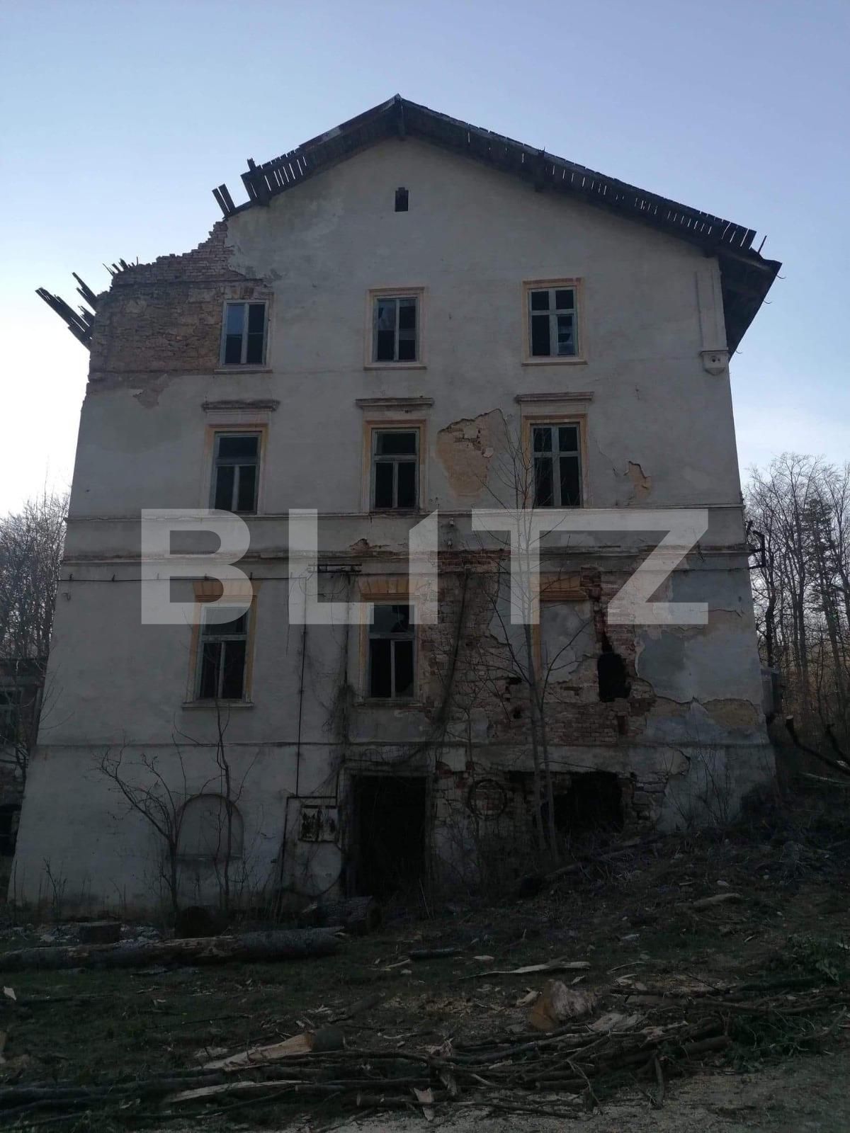 Casa de vânzare 30 camere Exterior Est - 134882CV | BLITZ Timișoara | Poza5