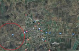 Teren extravilan agricol, 43 ha, Sanicolau Mare