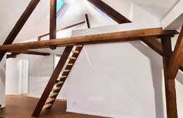 Penthouse deosebit, 4 camere, 2 bai, 100mp, zona centrala, Take Ionescu