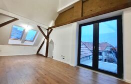 Penthouse deosebit, 4 camere, 2 bai, 100mp, zona centrala, Take Ionescu