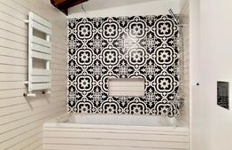 Penthouse deosebit, 4 camere, 2 bai, 100mp, zona centrala, Take Ionescu