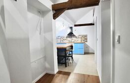 Penthouse deosebit, 4 camere, 2 bai, 100mp, zona centrala, Take Ionescu