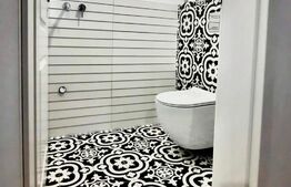 Penthouse deosebit, 4 camere, 2 bai, 100mp, zona centrala, Take Ionescu