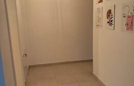 Apartament 2 camere, transformabil in 4 camere, 54mp, partial mobilat, Calea Urseni